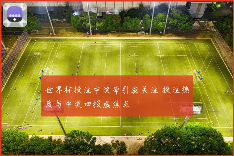 世界杯投注中奖率引发关注 投注热度与中奖回报成焦点