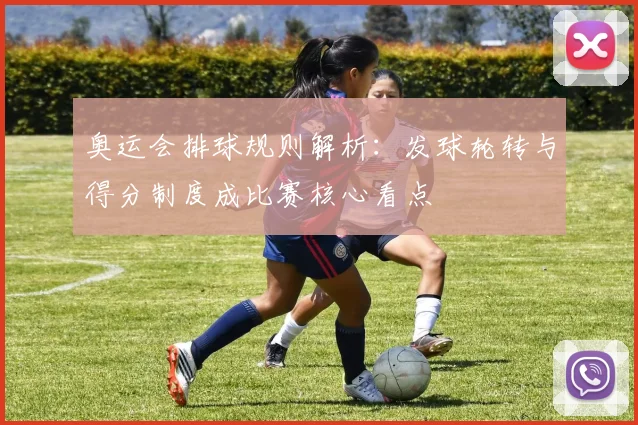 奥运会排球规则解析：发球轮转与得分制度成比赛核心看点