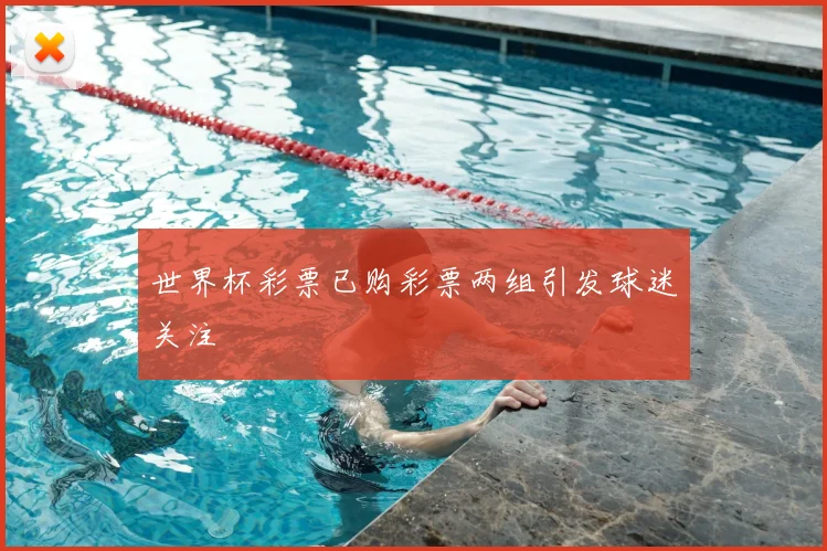 世界杯彩票已购彩票两组引发球迷关注