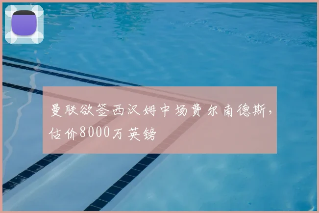 曼联欲签西汉姆中场费尔南德斯,估价8000万英镑