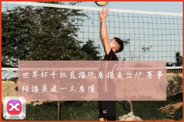 世界杯手机直播观看指南出炉 赛事转播渠道一文看懂