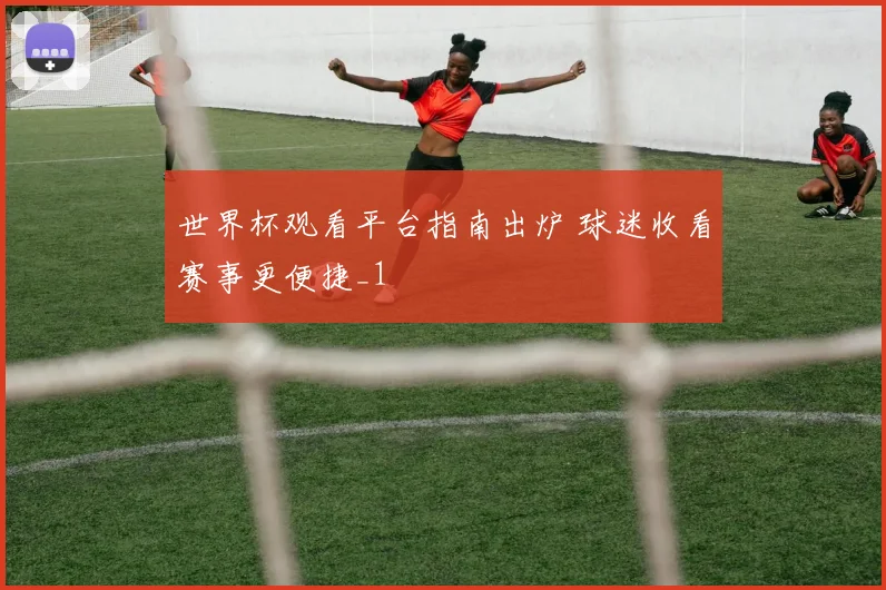 世界杯观看平台指南出炉 球迷收看赛事更便捷_1