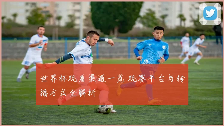 世界杯观看渠道一览 观赛平台与转播方式全解析